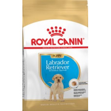 Royal Canin Labrador Junior Royal Canin Labrador Junior